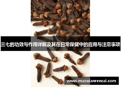 三七的功效与作用详解及其在日常保健中的应用与注意事项