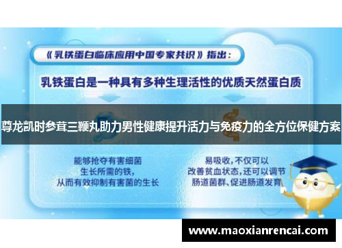 尊龙凯时参茸三鞭丸助力男性健康提升活力与免疫力的全方位保健方案