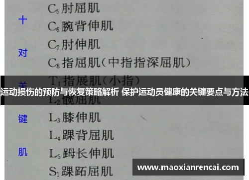 运动损伤的预防与恢复策略解析 保护运动员健康的关键要点与方法