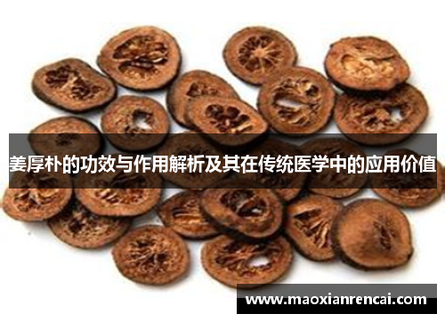 姜厚朴的功效与作用解析及其在传统医学中的应用价值