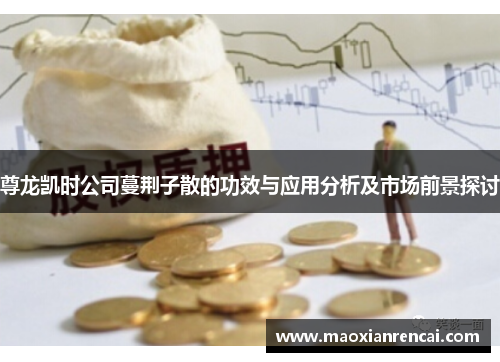 尊龙凯时公司蔓荆子散的功效与应用分析及市场前景探讨
