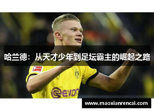 哈兰德：从天才少年到足坛霸主的崛起之路